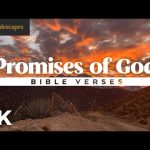 The Promises of God // Bible Verses for Rest, Reflection, and Reassurance